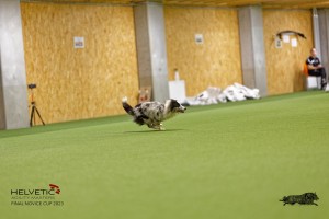 1T0A1439_DxO