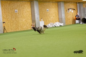 1T0A1440_DxO