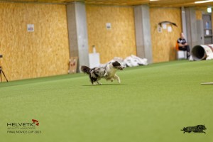 1T0A1441_DxO