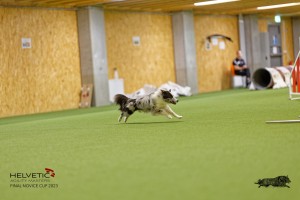 1T0A1442_DxO