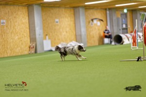 1T0A1443_DxO