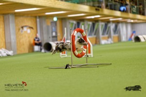 1T0A1450_DxO