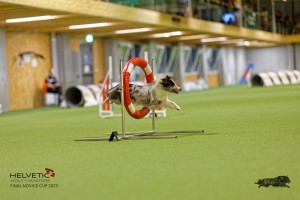 1T0A1451_DxO