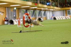 1T0A1452_DxO