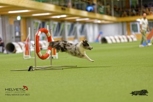 1T0A1453_DxO