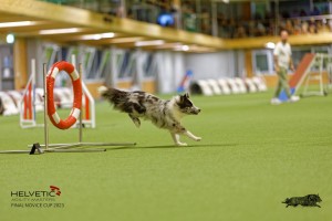 1T0A1454_DxO