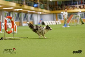 1T0A1455_DxO