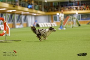 1T0A1456_DxO