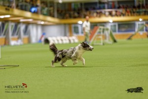1T0A1457_DxO