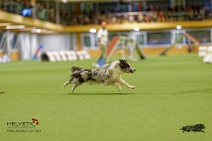 1T0A1458_DxO
