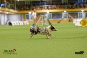 1T0A1459_DxO