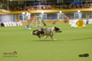 1T0A1460_DxO