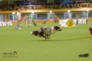 1T0A1461_DxO