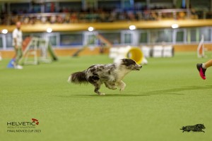 1T0A1462_DxO