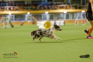 1T0A1463_DxO