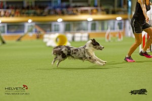 1T0A1464_DxO