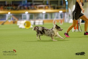 1T0A1465_DxO