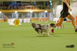 1T0A1466_DxO