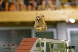 EH8A7542_DxO