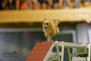 EH8A7544_DxO