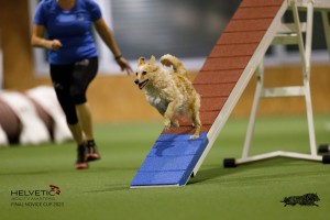 EH8A7553_DxO