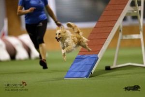EH8A7554_DxO