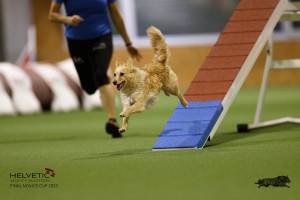 EH8A7555_DxO
