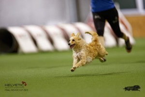 EH8A7560_DxO-1