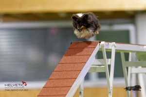 EH8A7578_DxO