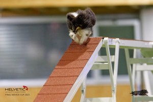 EH8A7579_DxO
