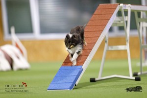 EH8A7585_DxO