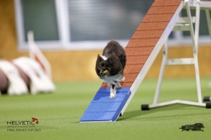 EH8A7586_DxO