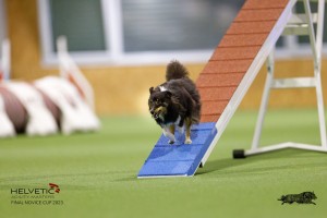 EH8A7587_DxO