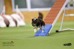 EH8A7588_DxO