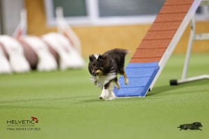 EH8A7589_DxO