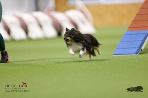 EH8A7592_DxO-1