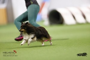 EH8A7602_DxO