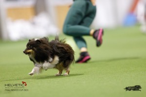 EH8A7606_DxO