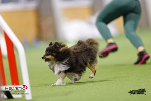 EH8A7608_DxO