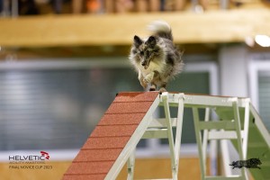 EH8A7628_DxO-1