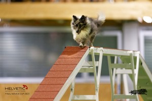 EH8A7629_DxO