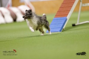 EH8A7655_DxO