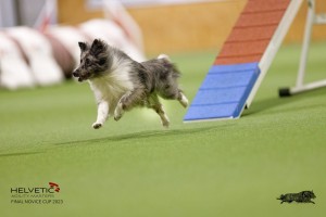 EH8A7656_DxO