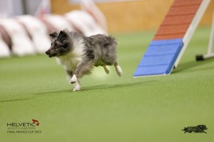 EH8A7657_DxO