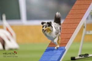 EH8A7679_DxO-1