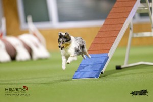 EH8A7681_DxO