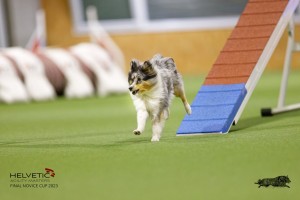 EH8A7682_DxO