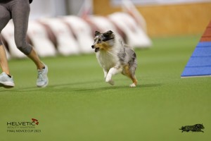EH8A7685_DxO