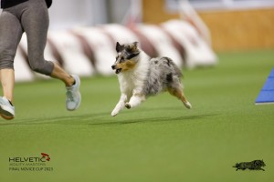 EH8A7686_DxO