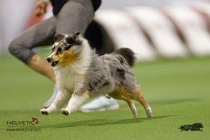 EH8A7692_DxO-1